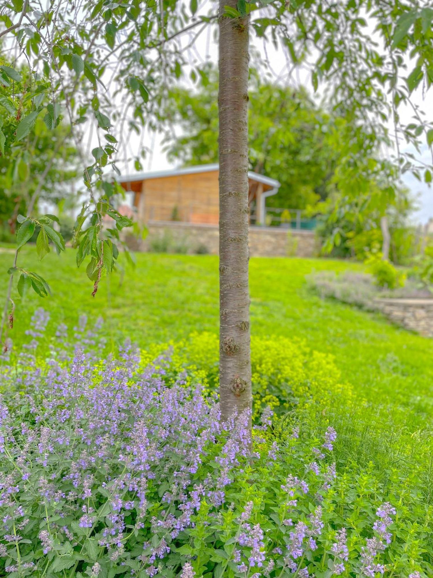 Slunecny Penzion Tasovice Exterior foto